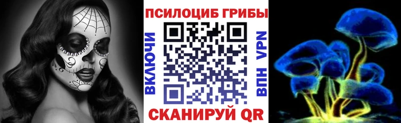 Галлюциногенные грибы прущие грибы  MEGA ССЫЛКА  Новоржев 